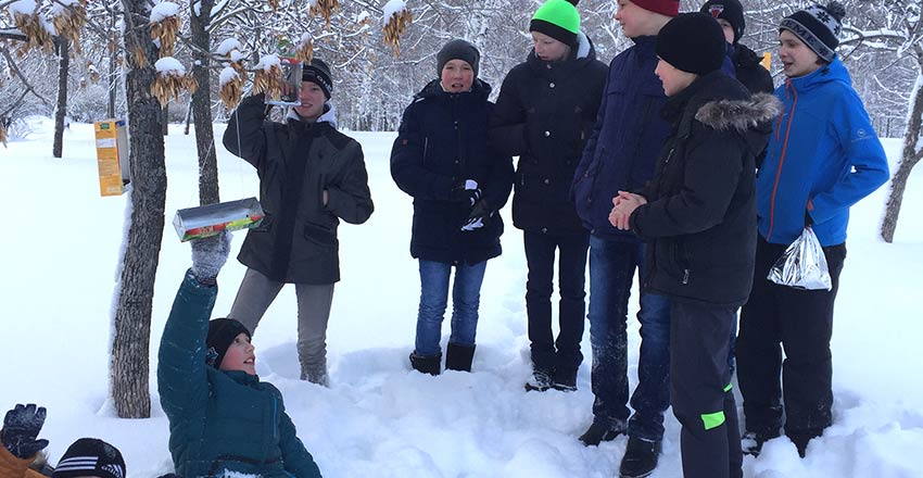 Покормите птиц зимой!
