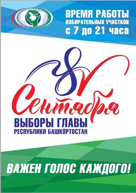 Все на выборы