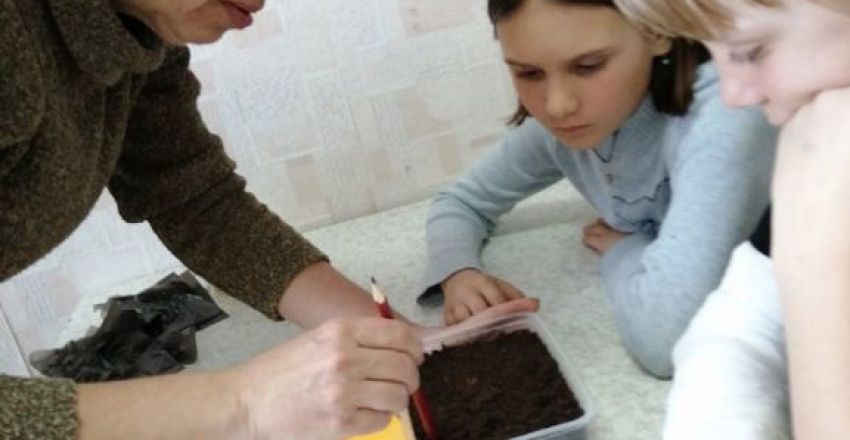 ДеЗе2