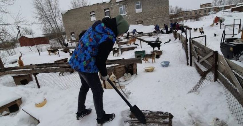 соб2