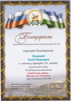 Дипломы.1