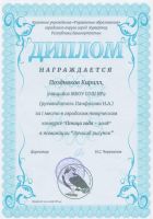 Дипломы.4